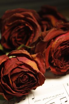 three red roses sitting on top of sheet music