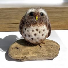 an owl sitting on top of a piece of wood