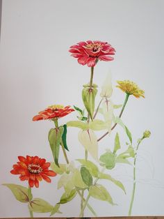 a painting of red and yellow flowers on a white background