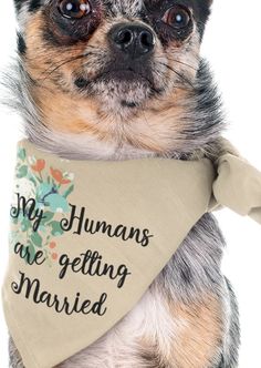 a small dog wearing a bandana with the words, my humans are getting married