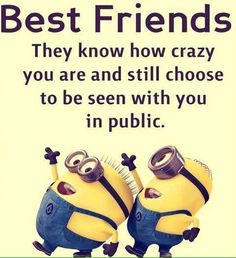 two minion characters with the caption best friends they know how crazy you are and still choose to be seen with you in public