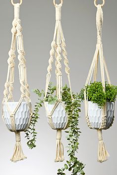 three hanging planters with plants in them