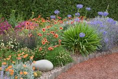 a garden filled with lots of different types of flowers