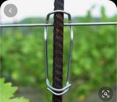 a piece of metal hanging from a wire on top of a leafy green field