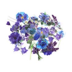 a bouquet of blue and purple flowers on a white background