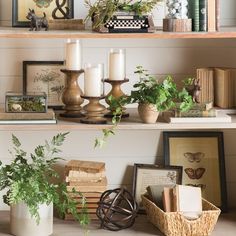 the shelves are filled with books, plants and other decorative items such as candle holders