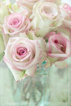 pink and white roses in a glass vase