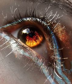 an orange and yellow eye is reflected in the reflection of another person's eye