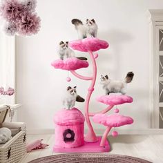 three kittens are sitting on top of a pink cat tree in the living room