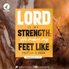 a deer with the words lord is my strength he makes my feet like a deer