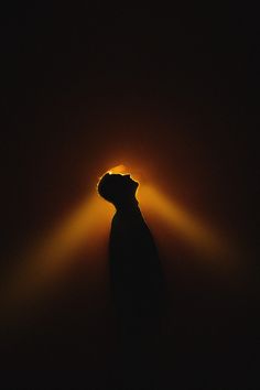 a cat is silhouetted in the dark with its head turned to the side and light coming from behind it