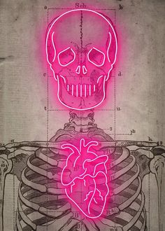 a drawing of a skeleton with a heart in it's chest