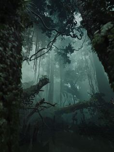 a forest filled with lots of trees covered in green leaves and mossy branches, surrounded by fog