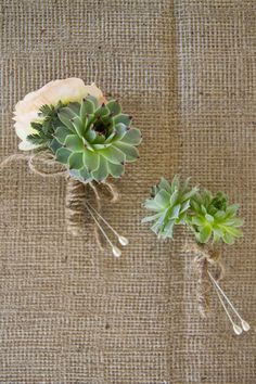 three succulents are arranged on a burlap surface