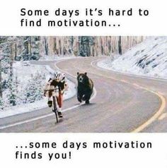 an image of two bears riding bikes down the road with caption that reads, some days it's hard to find motivation