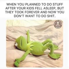 kermie the frog laying on top of a bed with text that reads, when you planned to do stuff after your kids fell asleep, but they took forever and now you don't