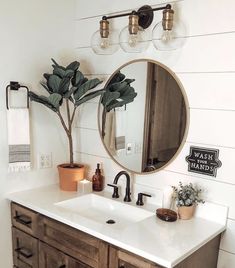 a bathroom sink with a mirror above it and a potted plant on the counter