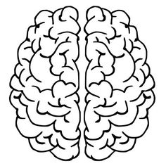 the human brain is shown in this black and white drawing, it appears to be an image