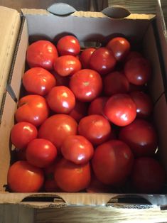 a cardboard box filled with lots of red tomatoes