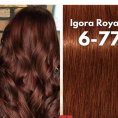 Braid Hairstyles Ideas, Dark Red Hair Color, Best Hairstyles For Women, Chocolate Brown Hair Color, Side Braid Hairstyles, Brown Hair Looks, Chocolate Hair, Chocolate Brown Hair, Hair Color Auburn