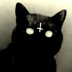 a black cat with white eyes and a cross on it's forehead