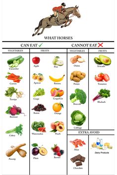 an image of a horse that is in the middle of a chart with different fruits and vegetables