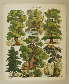 an old book with trees and rocks on it's cover, in the style of engravings