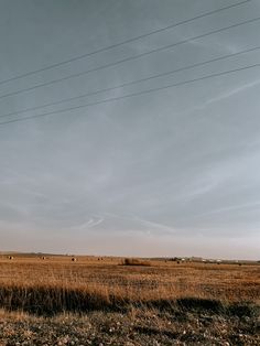 an empty field with power lines in the distance