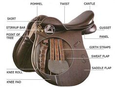 the parts of a horse saddle