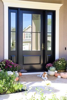 a dog laying on the ground in front of a door with potted plants next to it