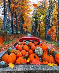 a truck filled with lots of pumpkins in the middle of a road surrounded by trees