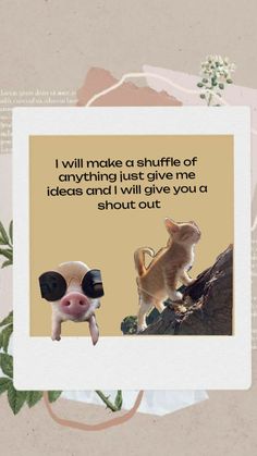 an animal with sunglasses on it's face next to a quote that reads, i will make a shuffle of anything just give me ideas and i will give you a small amount