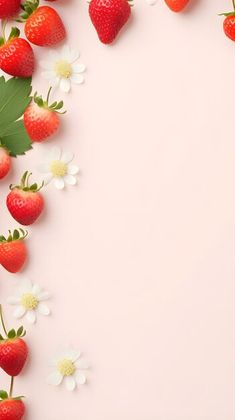 strawberries and daisies on pink background with copy - space for your text or image