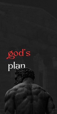 the back of a man's torso with god's plan written on it