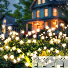 a house is lit up with white lights in the front yard and bushes around it