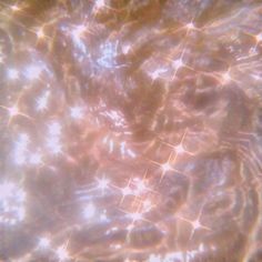 an image of the inside of a sunflower seed with light coming from it's center