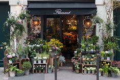 Left Bank Flower Shop in Paris - Every Day Paris Francophile Gifts, Flower Shop Interiors, Flower Shop Design, Paris Art Print, Flower Store, Plant Shop, Paris Images