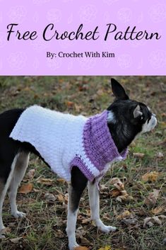 a black and white dog wearing a sweater with text overlay that says free crochet pattern