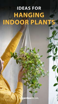 a woman hanging plants from the ceiling with text overlay that reads ideas for hanging indoor plants