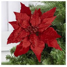 a red poinsettia hanging from a christmas tree