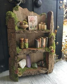 an old book shelf with moss growing on it