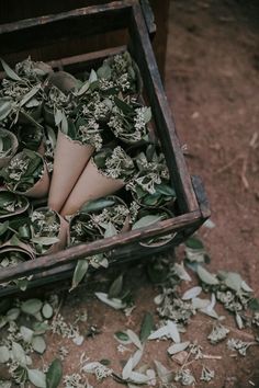 a wooden box filled with lots of green leaves and cones on top of dirt ground