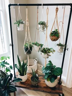 several hanging plants in white pots on a wooden table