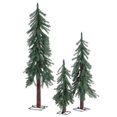 two tall pine trees sitting next to each other on top of snow covered ground in front of a white background