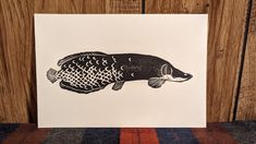 a black and white drawing of a fish on a piece of paper next to a wooden wall