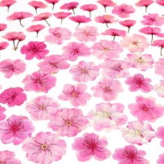 pink flowers floating in water on a white surface