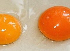 two oranges sitting on top of each other in plastic wrapper next to each other