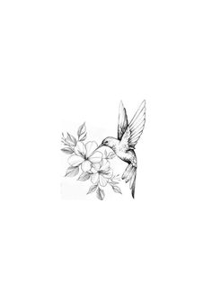 a black and white drawing of a hummingbird flying over flowers on a white background