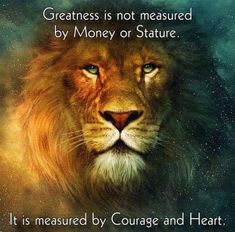 a lion with the quote greatness is not measured by money or statute it is measured by courage and heart