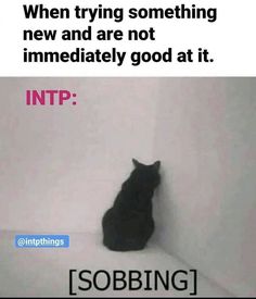 Intp Aesthetic Pictures, Intp Personality Aesthetic, Infp Intp, No Emotion